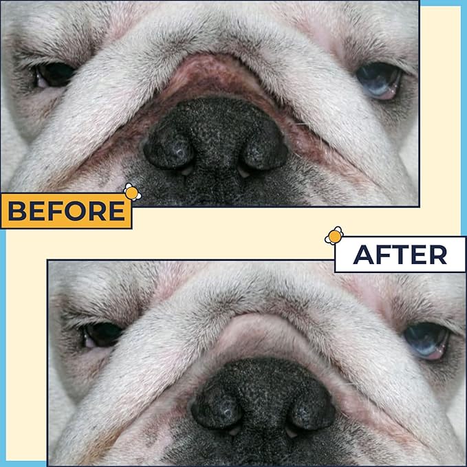 Wrinkle Paste For Bulldogs (2oz)+Wrinkle Wipes French Bulldog(50Wipes)-Say Bye To Rash On French & English Bulldog, Pug- French Bulldog Accessories Anti Itch Treatment for Wrinkles, Paw, Tail Pockets