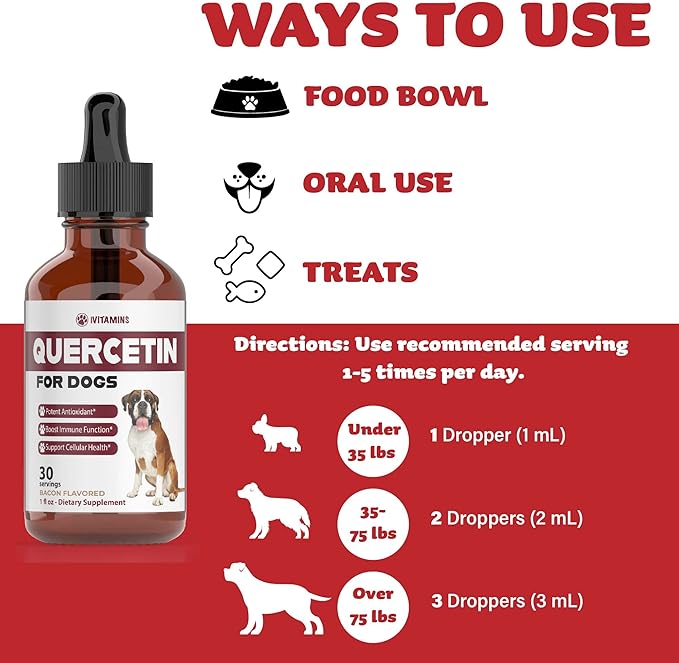 Quercetin for Dogs | Dog Allergy Relief | Quercetin for Dogs Allergies | Dog Allergy | Quercetin | Dog Allergy Support | Quercetin Dog | Dog Allergies | Quercetin Supplements | Bacon Flavor (1 Pack)
