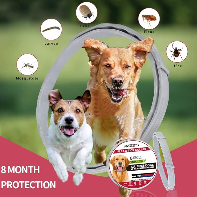 Flea and Tick Collar for Dogs, Flea and Tick Prevention for Dog, 27 Inch, 8 Month Protection, 1 Pack