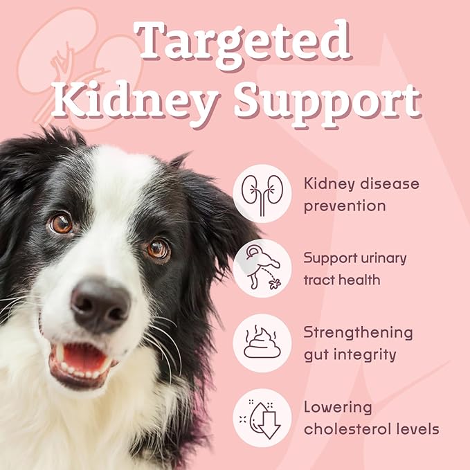 NOCK Probiotics for Dogs,Improve Kidney Function, Support Urinary Tract Health Supplement for Your Dogs Stomach, Intestine Health(220 Billion CFUs Per)