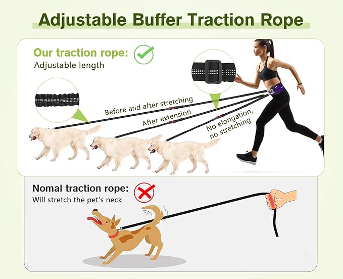 Pecute Hands Free Dog Leash with Pouch, Waist Belt Fanny Pack with Soft Pads, Dual Padded Handles, and Durable Bungee for Walking, Hiking, Jogging Biking, and Running (Up to 220lbs) Purple