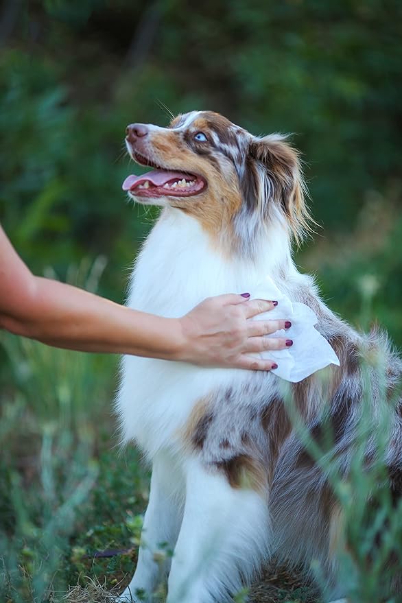 Grooming Wipes Hypo-Allergenic, Fragrance Free 100 ct