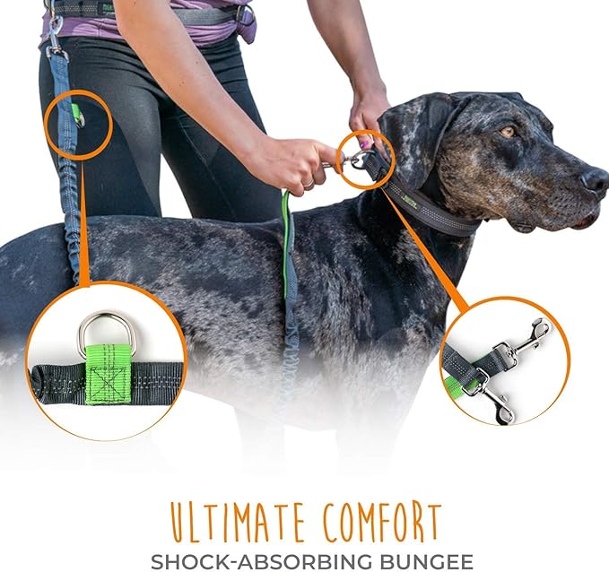 Mighty Paw Hands Free Dog Leash | Bungee Waist Leash for Dog Walking. Dog Running Leash Hands Free. Hands Free Leash for Large Dogs, Medium & Small Dogs. Dog Leash Waist Belt (36" - 48") Up To 150 lbs