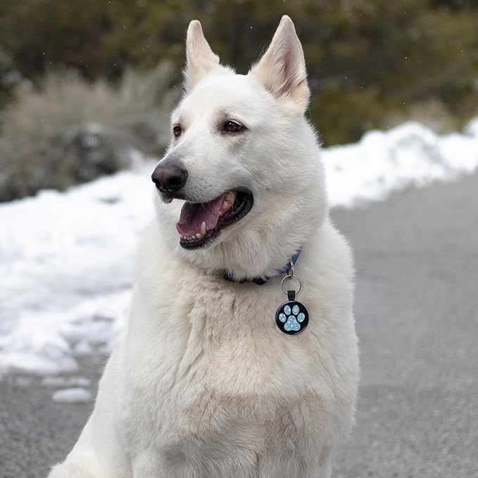 MYLUCKYTAG QR Code Pet ID Tags Dog Tags - Pet Online Profile - Scan QR Receive Instant Pet Location Alert Email