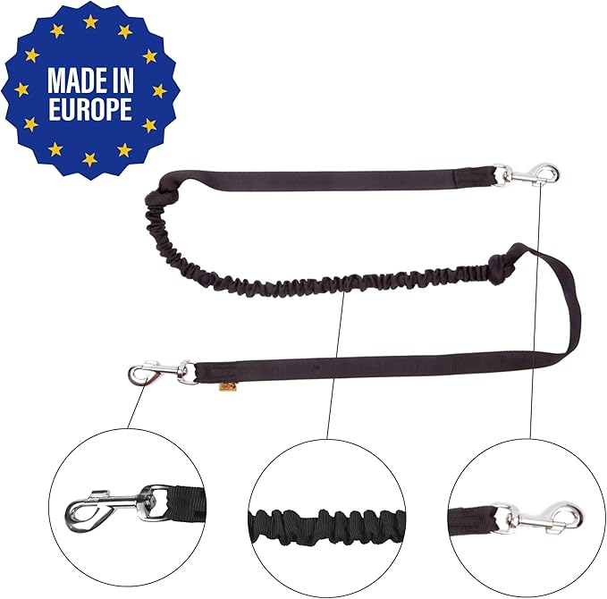 Dingo hands free leash belt for dog walking running hiking, training leash for large dog, bungee leash for medium dog, comfortable adjustable belt for walking with small dog, two snap hooks Z30005