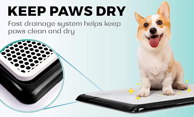 Pet Awesome Dog Potty Tray/Puppy Pee Pad Holder 25”x20” Indoor Wee Training for Small and Medium Dogs