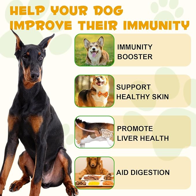 Dog Allergy Relief,Allergy Immunity for Dogs,Dog Allergy Support,Allergy Relief for Dogs Itching Natural Pet Supplement,Daily Vitamins for Healthy Immune System,with elderberry,Vitamin C,2FL OZ