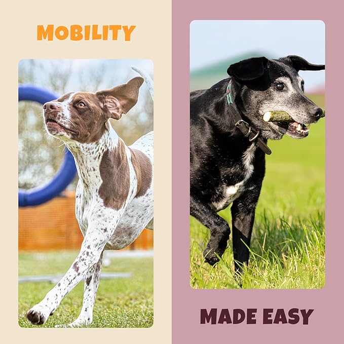 Turmeric + Curcumin - Natural, Human-Grade Allergy Relief Chews, Hip and Joint Supplement, and Anti-Inflammatory for Dogs