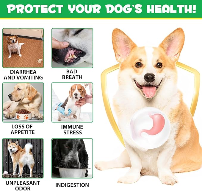 Probiotics for Dogs, 180 Tablets Dog Probiotic for Gut Health with Enzyme Blends & Prebiotic, Pet Health Supplement Probiotic Supports Digestive Health, Immune System Booster - Peking Duck Flavour