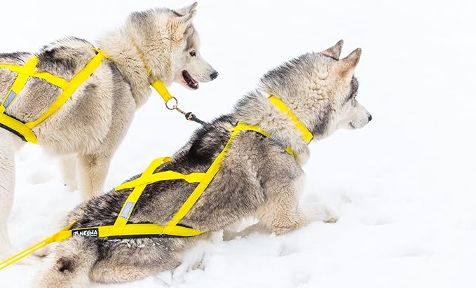 Neewa Sled Pro Harness (XX-Large, Yellow), Dog Pulling Harness, Husky Harness, Mushing Harness, X Back Harness Dog for Dog Exercise, Bikejoring, Skijoring, Dog Sledding, Canicross, Dog Harness