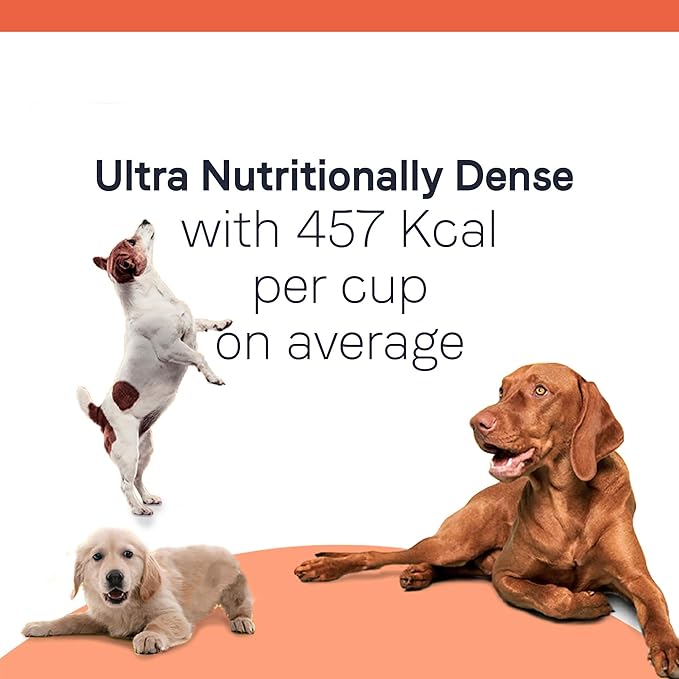 Canidae All Life Stages Premium Dry Dog Food for Less Active Dogs, All Ages, Chicken, Turkey & Lamb Meals, 15 lbs.