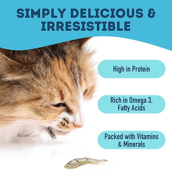Sardines for Dogs & Sardines for Cats (7.4 oz, Pack of 1) - Dehydrated Single Ingredient Dog Treats - Natural Dog Treats, Grain Free