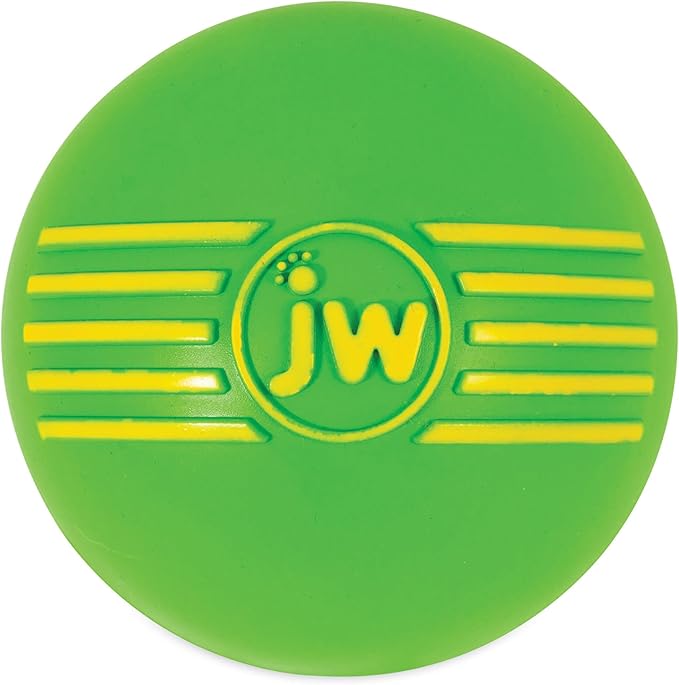 JW Pet Dog Isqueak Ball Dog Toy, Large, (Assorted Colors)