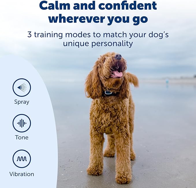 PetSafe Remote Spray Trainer, Dog Training Collar - 3 Modes: Tone, Vibration or Spray - Rechargeable and Water-Resistant includes Citronella and Unscented Spray Refills - 300 Yards (900 Feet) Range