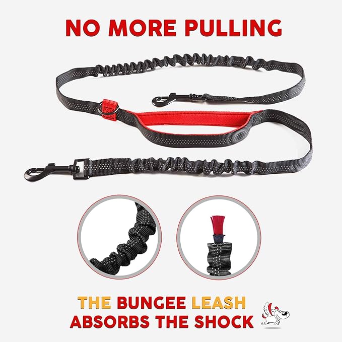 Exquisite Hands Free Double Dog Leash for Small Dogs | Dual Dog Leash | Two Dog Leash No Tangle | Multiple Dog Leash for 2 Dogs | Double Leash | Leash Splitter | Double Clip Leash Coupler