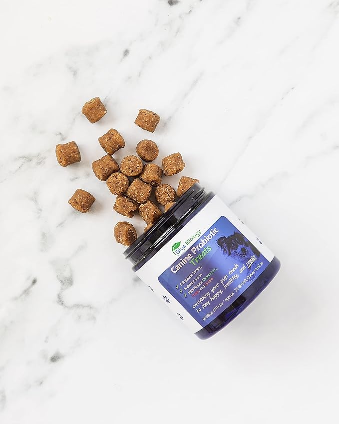 Canine Probiotic Chews for Dogs - Vet Formulated for Digestive & Diarrhea Support - Dog Probiotics for Diarrhea - Probiotics Dog Treats - Dog Digestive Support - Canine Probiotic - (60ct)