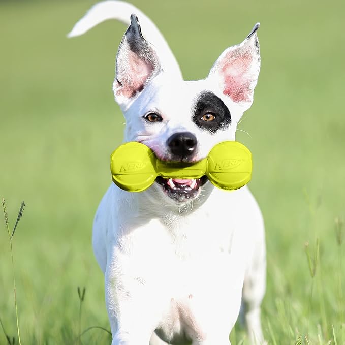 Nerf Dog Rubber Chew Barbell Dog Toy, Lightweight, Durable and Water Resistant, 7.5 Inches, For Medium/Large Breeds, Single Unit, Green (6994)