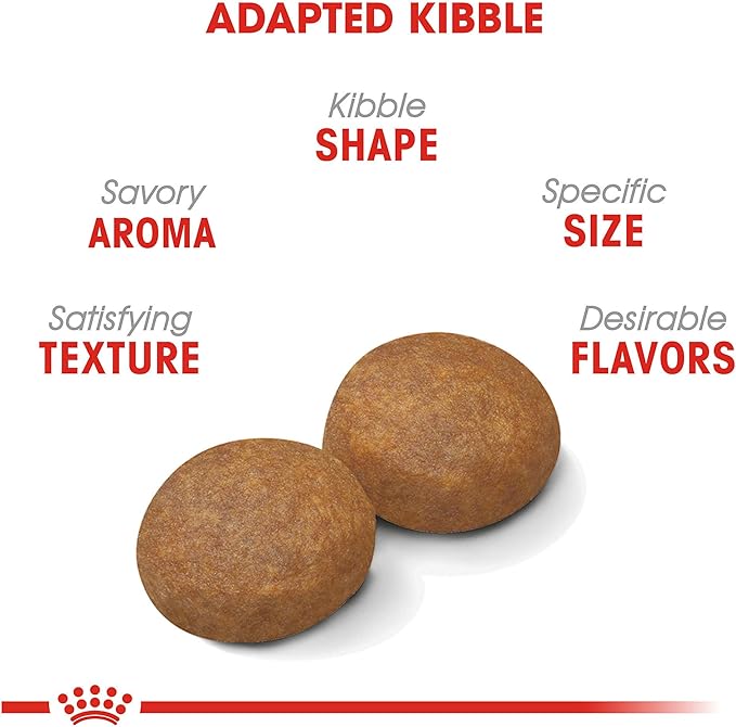 Royal Canin Large Adult 5+ Dry Dog Food for Older Dogs, 30 lb bag