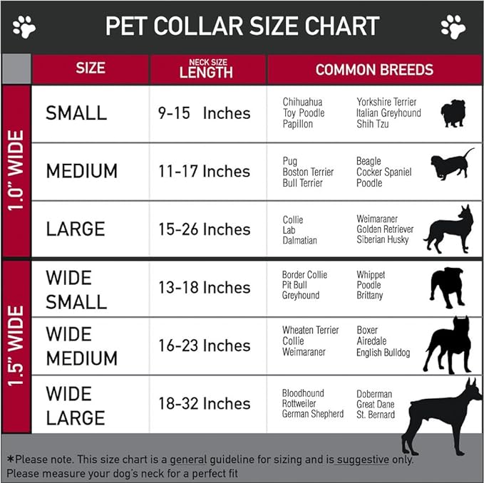 Buckle-Down Seatbelt Buckle Dog Collar - SCOOBY DOO Group Pose/Bones - 1.5" Wide - Fits 13-18" Neck - Small