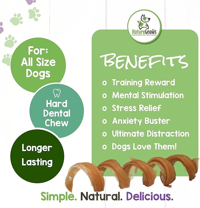 Nature Gnaws Bully Stick Springs for Dogs - Premium Natural Beef Dental Bones - Long Lasting Curly Dog Chew Treats for Aggressive Chewers - Rawhide Free 12 Count (Pack of 1)