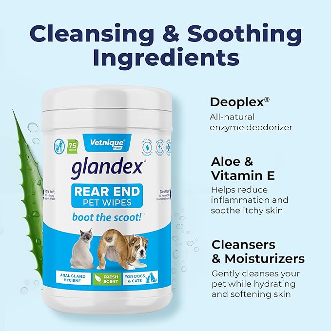 Vetnique Labs Glandex Dog Wipes for Pets Cleansing & Deodorizing Anal Gland Hygienic Wipes for Dogs & Cats with Vitamin E, Skin Conditioners and Aloe (450ct)