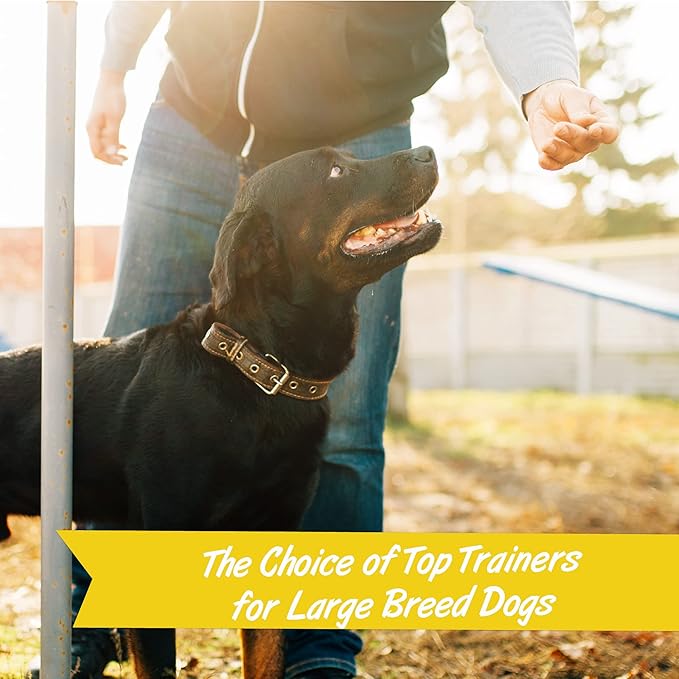 Pet Botanics 20 oz. Pouch Training Rewards Soft & Chewy Large Bites, Bacon Flavor, with 250 Treats Per Bag, The Choice of Top Trainers, for Large Breed Sizes