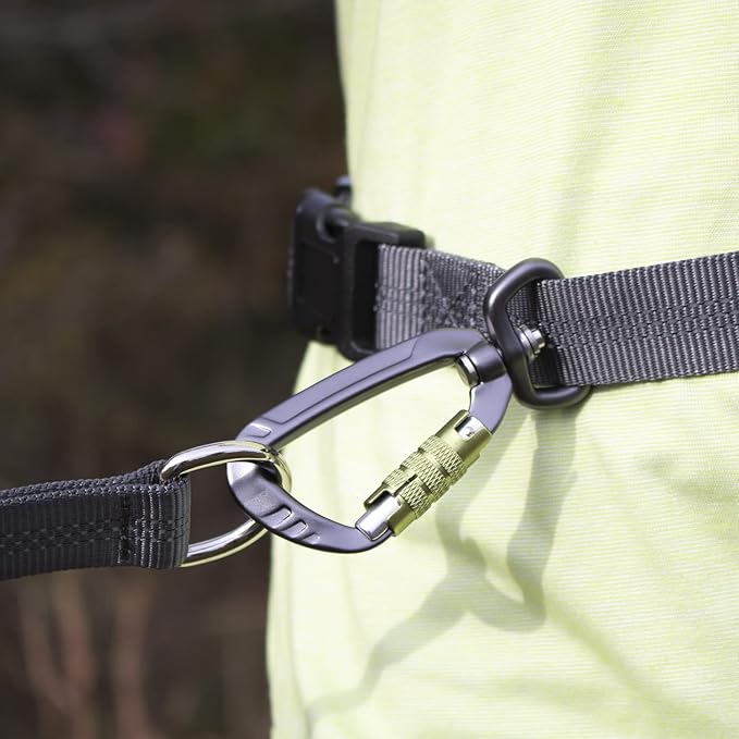 Hands Free Dog Leash for Running, Walking, Hiking, Durable Dual-Handle Bungee Leash is 4 Feet Long with Reflective Stitching, Adjustable Waist Belt That Fits 42 Inch Waist (Carabiner/Green)
