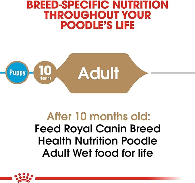 Royal Canin Poodle Adult Breed Specific Wet Dog Food, 3 oz. can