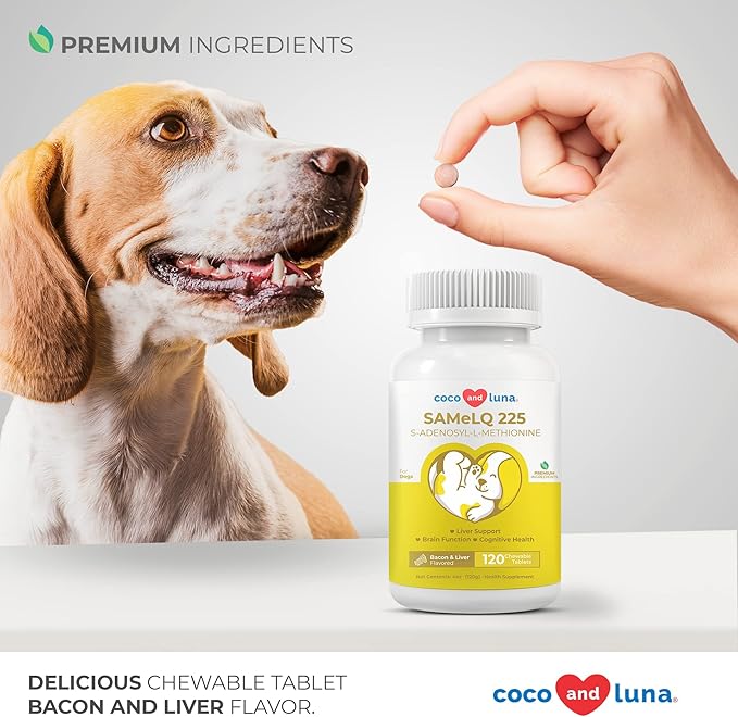 SAMe for Dogs - S-Adenosyl-L-Methionine, Liver Supplements for Dogs - Brain Supplement for Dogs, Promotes Cognitive Support, Liver Support Supplement
