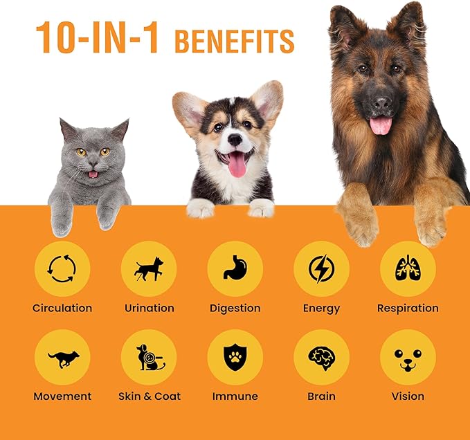 10-in-1 Liquid Multivitamin for Dogs and Cats, 2 Ounce Multi Vitamin Supplement, Vitamin for Dogs, Vitamins for Cats, with Glucosamine & Cranberry, 2 oz