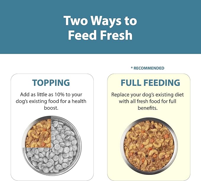 JustFoodForDogs Pantry Fresh Wet Dog Food Complete Meal or Dog Food Topper, Turkey & Whole Wheat Macaroni Human Grade Dog Food Recipe - 12.5 oz (Pack of 12)