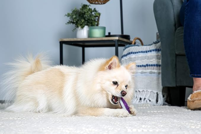 Hartz Chew 'n Clean Tuff Bone Bacon Scented Dental Dog Chew Toy - Extra Small