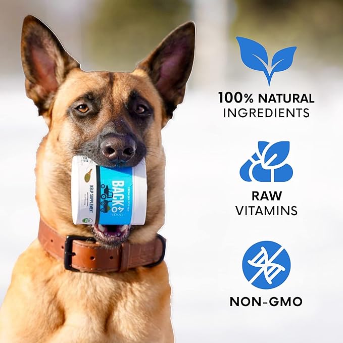 Kelp Powder, Dried Sea Kelp Supplement for Optimal Pet Health, Multifunctional Dog Vitamins Rich with Iodine & Omegas for Thyroid Health, Dental, Immune, Digestive, & Heart Health, 453g