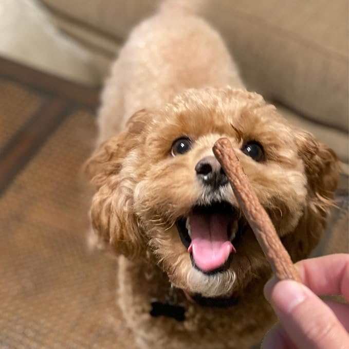 Chicken and Sweet Potato Dog Treats, Soft Chicken Jerky for Small and Large Breeds, Naturally Healthy, Made in The USA (5 oz)