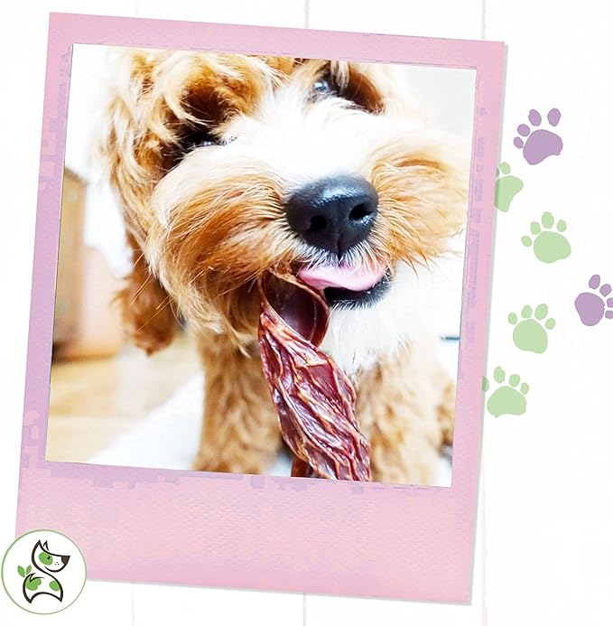 Nature Gnaws - Beef Jerky Springs for Dogs - Premium Natural Beef Gullet Sticks - Simple Single Ingredient Tasty Dog Chew Treats - Rawhide Free 7-8 Inch