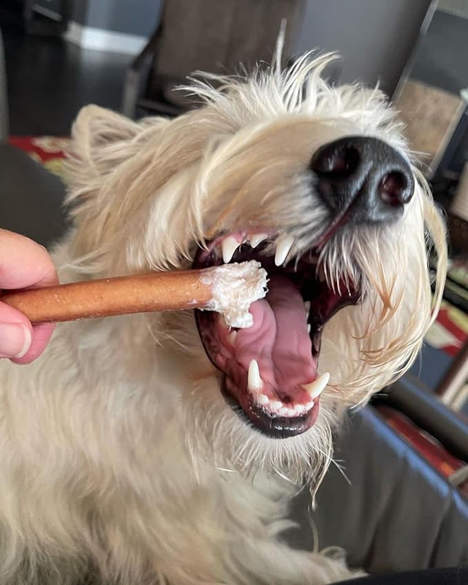 Bully Bunches Premium 6 Inch Standard Odor-Free Bully Sticks for Small to Medium Dogs & Puppies - Long Lasting Chews for Oral Care - All Natural, 100% Beef Dog Treats, Rawhide Free