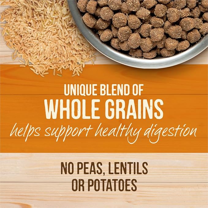 Merrick Healthy Grains Freeze Dried Raw Coated Kibble, Natural High Protein Dog Food, Chicken and Brown Rice - 22.0 lb. Bag