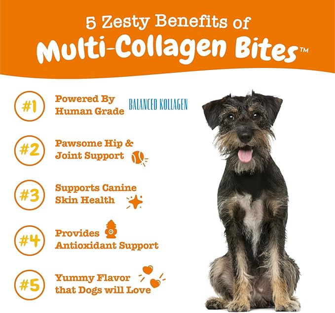 Zesty Paws Multi Collagen Soft Chews for Dogs - for Hip, Joint & Cartilage Support + Skin Health - with Collagen - Plus Eggshell Membrane, Vitamin C & Hyaluronic Acid - 90 Count