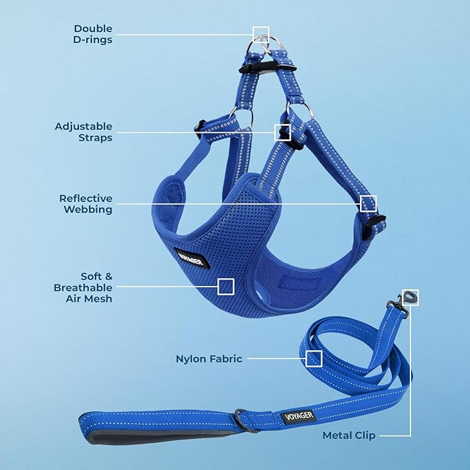 Best Pet Supplies Voyager Adjustable Dog Harness Leash Set with Reflective Stripes for Walking Heavy-Duty Full Body No Pull Vest with Leash D-Ring, Breathable All-Weather - Harness (Royal Blue), S
