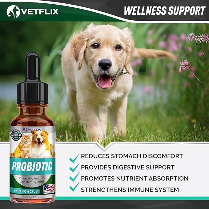 Premium Probiotics for Dogs & Cats - Digestive Enzymes & Prebiotics Supplement - Helps to Relieve Diarrhea, Vomiting, Upset Stomach, Gas, Constipation & Bad Breath - Supports Healthy Digestive System
