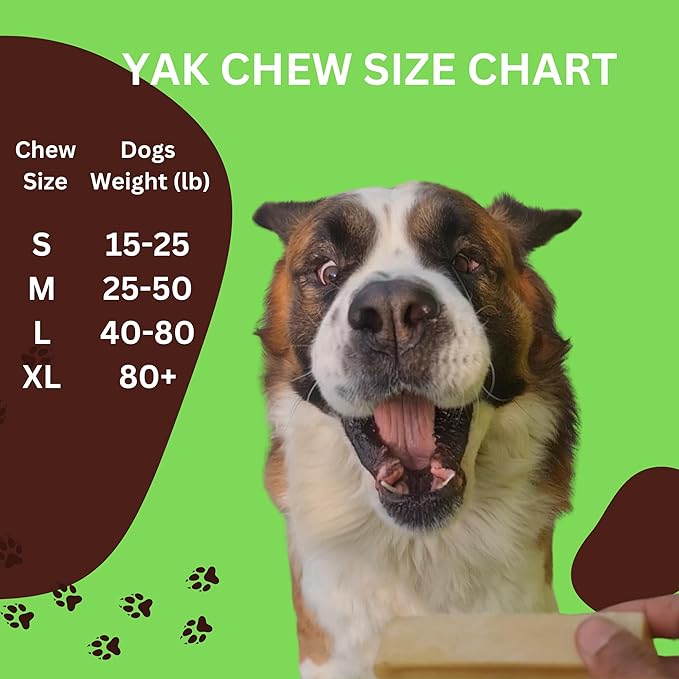 True Himalayan Yak Cheese Dog Chews Long Lasting Odor Free Dental Chews for Dogs, Natural Cheesy Dog Bones for Aggressive Chewers, Healthy Dog Treats (Large, 1, Count)