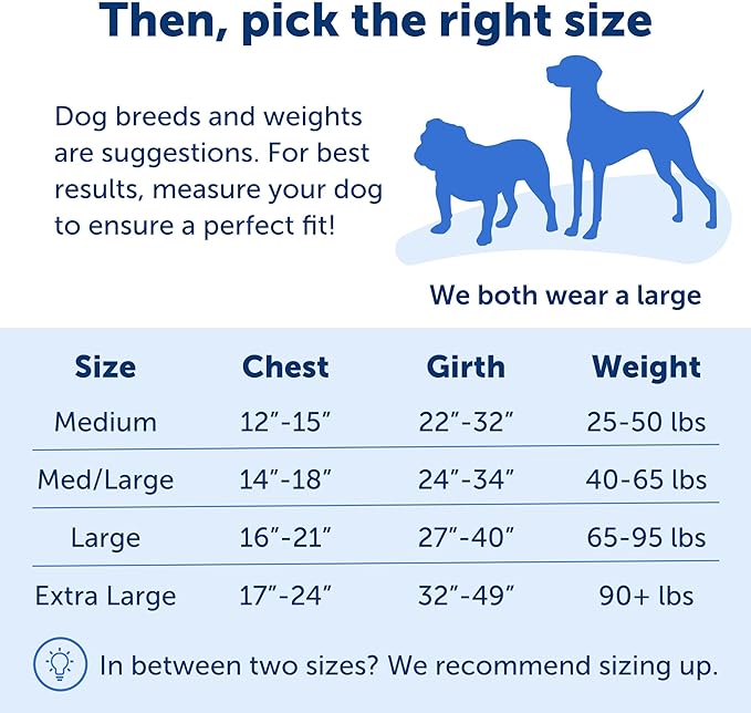 PetSafe Easy Walk Dog Harness - No Pull Dog Harness - Large, Apple Green