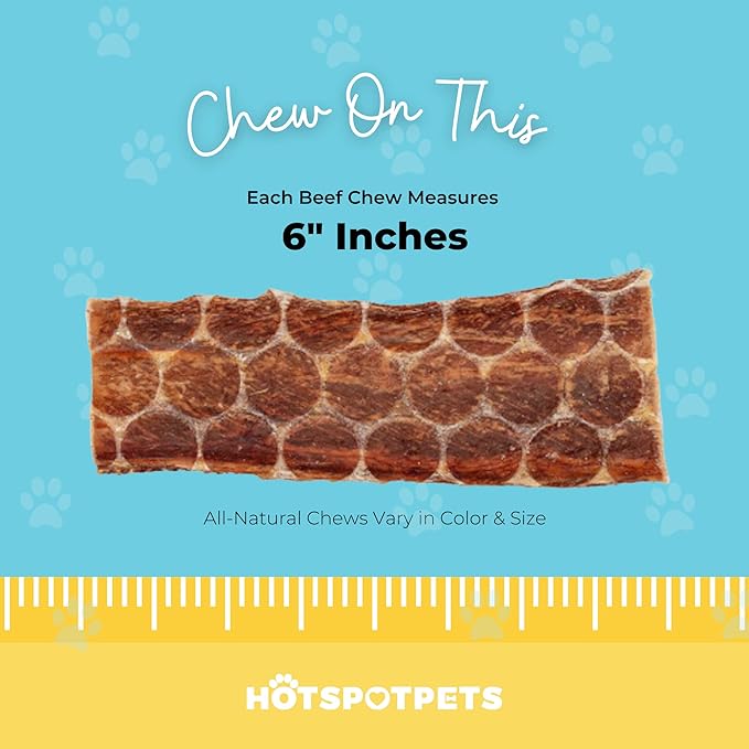 hotspot pets Beef Dog Treats Esophagus (6 Inches) - 100% Natural Healthy Chews for Dogs - Meat Jerky Snack Free of Preservatives, Hormones & from Grass Fed Cattle (100 Pack)