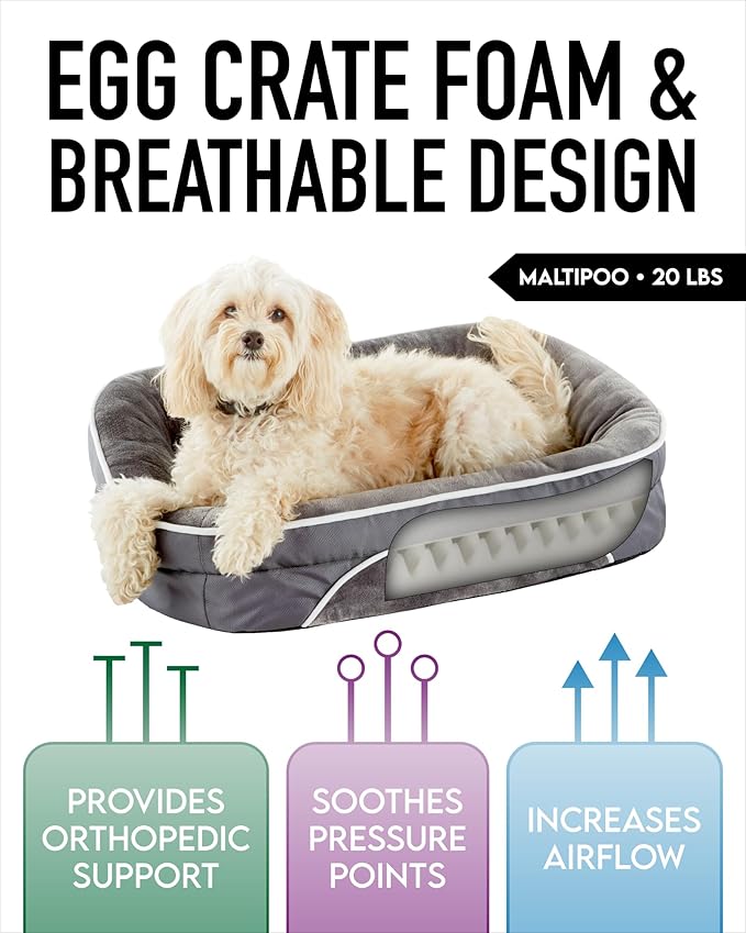 Orthopedic Dog Bed for Medium Dogs, Dog Couch Design with Egg Foam Support, Removable, Machine Washable Plush Cover and Non-Slip Bottom with Four Sided Bolster Cushion (Gray)