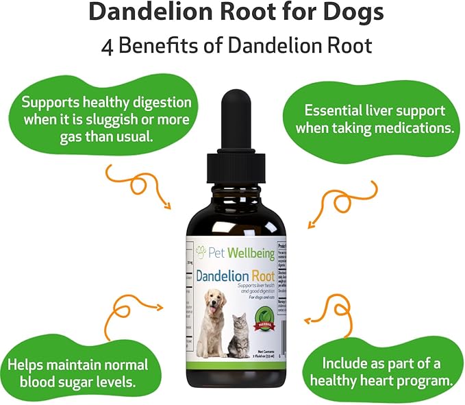 Pet Wellbeing Dandelion Root for Dogs - Liver, Digestive, Cardiovascular, Blood Sugar Support - Natural Herbal Supplement 2 oz (59 ml)