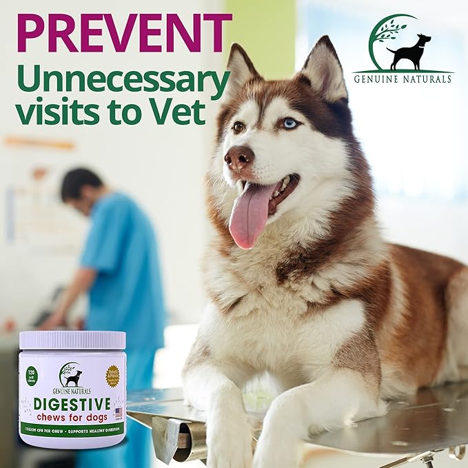 Digestive Supplement for Dogs - Recommended Probiotics Chew by FurParents - Improves Digestive and Gut Health, Helps with Diarrhea, Upset Stomach, Bad Breath & Constipation, 120 Count