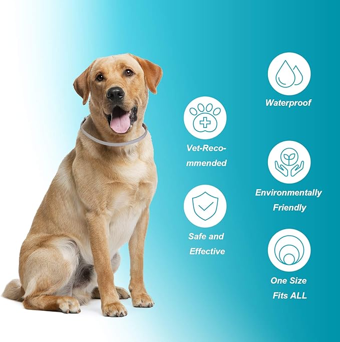 Flea and Tick Collar for Dogs,2 Pack,Natural Flea and Tick Prevention for Dogs,8 Months Protection,One Size Fits All Dogs,Adjustable & Waterproof,Include Flea Comb