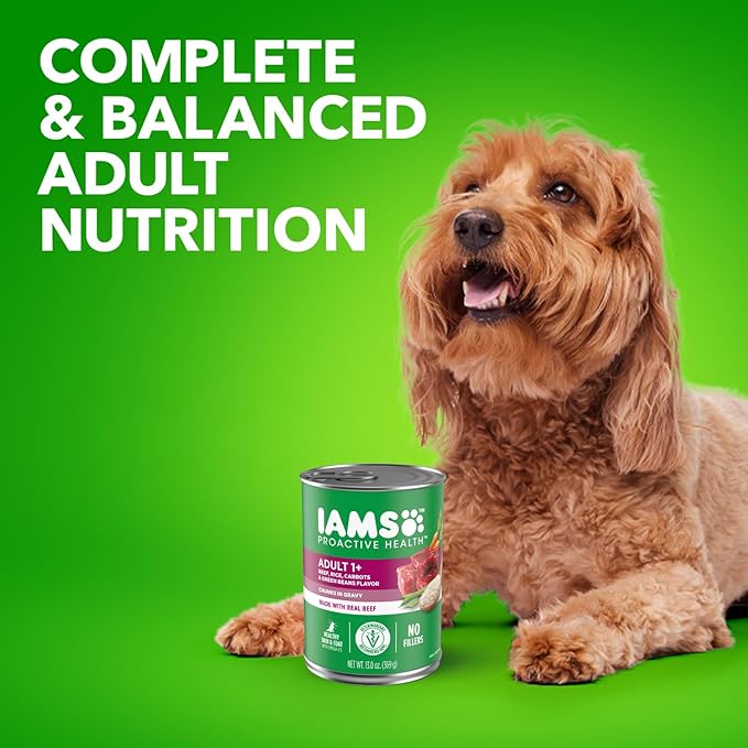 IAMS PROACTIVE HEALTH Adult Wet Dog Food Chunks in Gravy Beef, Rice, Carrots & Green Beans Flavor, 12-Pack of 13 oz. Cans