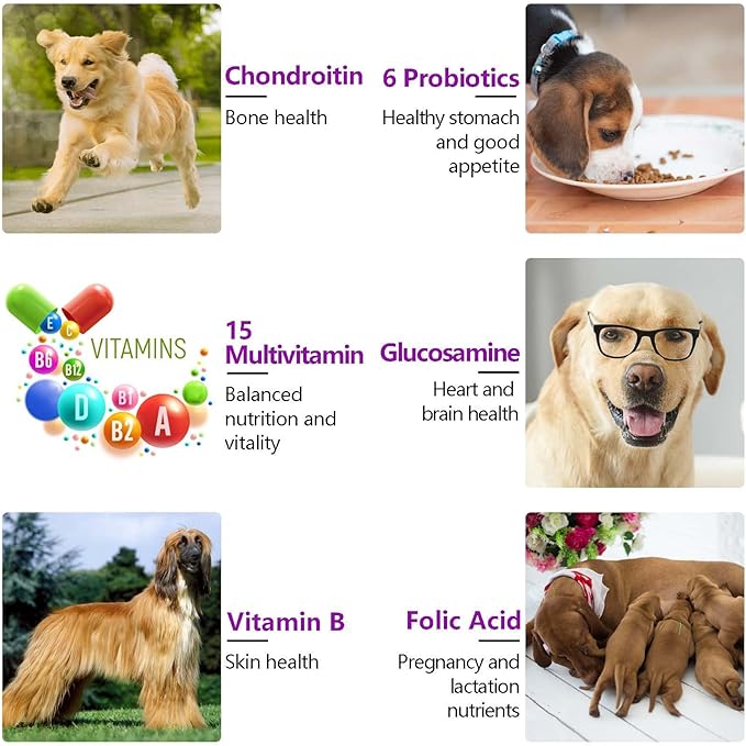 15-in-1 Dog Multivitamin Supplements with Glucosamine & Probiotics,Natural Daily Vitamins Chews for Dogs,Pet Health Support-Skin-Immunity-Gut Digestion-Joint-Heart,150 Pcs-Duck Flavor