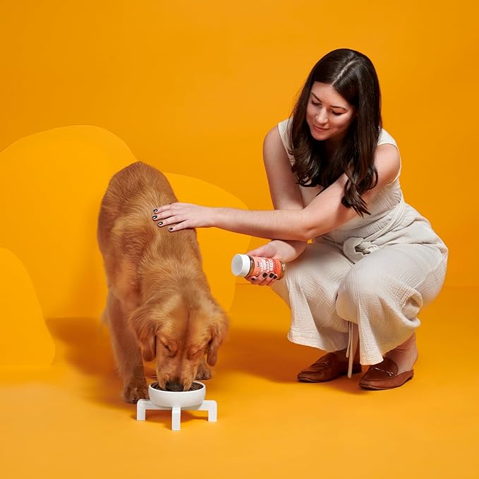 Barkbox – Bada Bing Bada Beef – Dry Dog Food Toppers with High Protein, Limited Ingredients – Meal Enhancer for Large & Small Breeds – 4.6 Oz